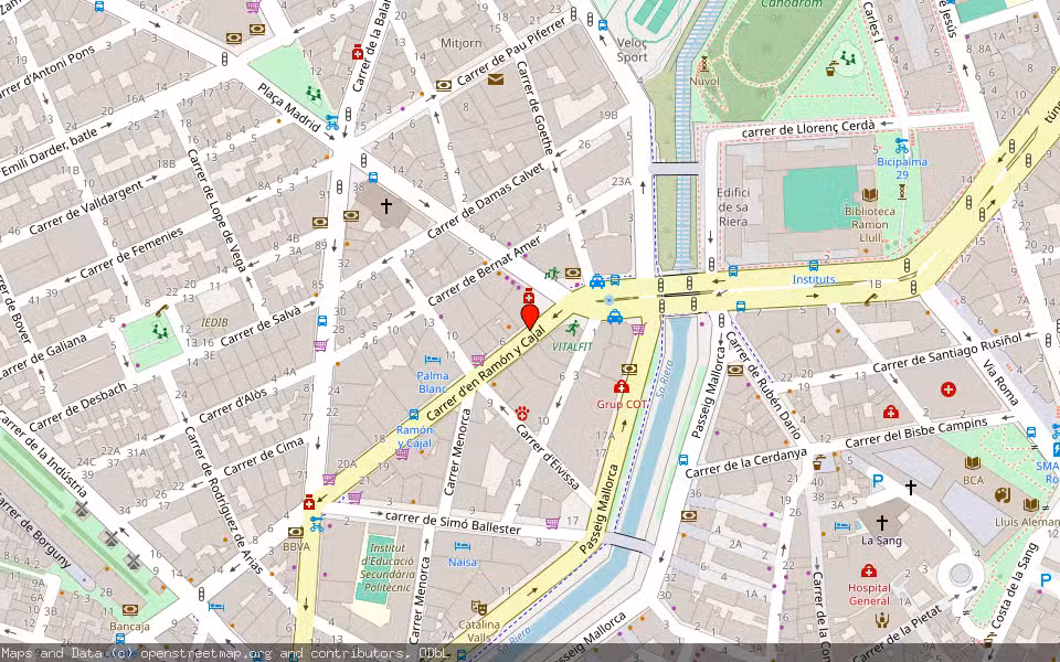 Mapa de Subasta Inmueble (Vivienda) en Palma De Mallorca, Illes Balears