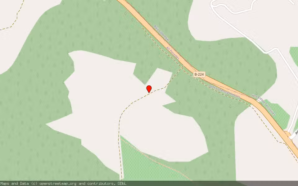 Mapa de Subasta Inmueble (Finca rústica) en Sant Llorenç D'hortons, Barcelona