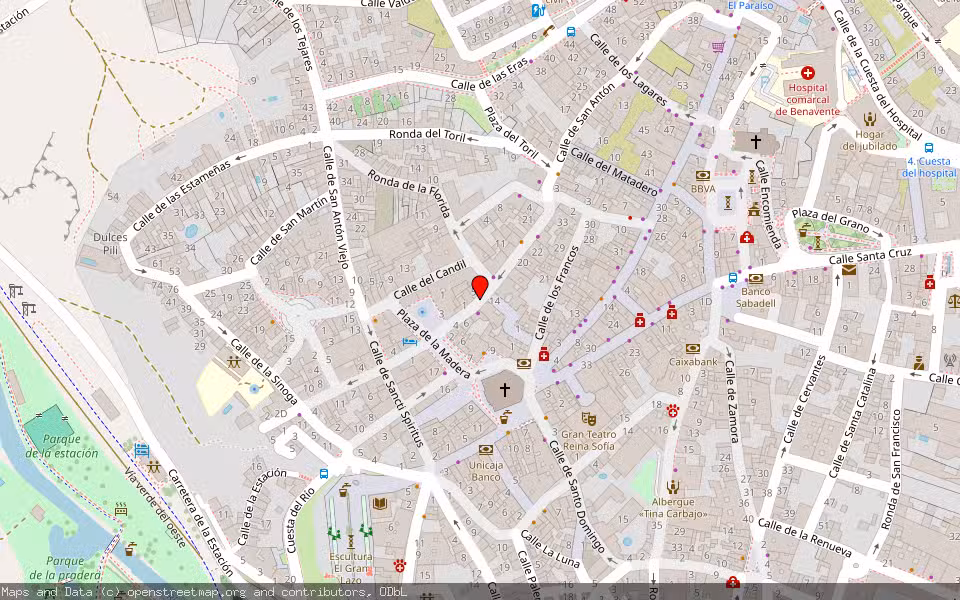 Mapa de Subasta Inmueble (Local comercial) en Benavente, Zamora