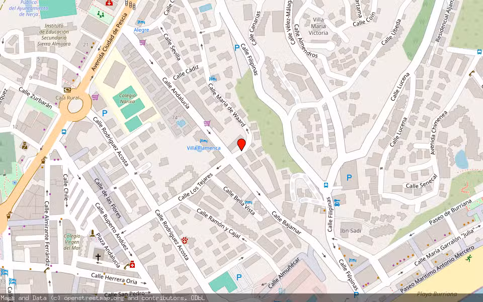 Mapa de Subasta Inmueble (Vivienda) en Nerja, Málaga