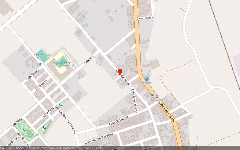 Mapa de Subasta Inmueble (Solar) en Las Torres De Cotillas, Murcia