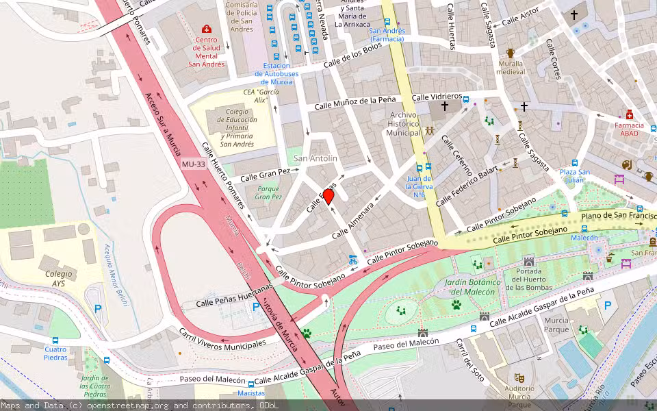 Mapa de Subasta Inmueble (Vivienda) en Murcia
