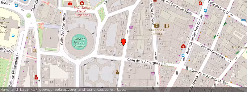 Mapa de Subasta de Inmueble (Vivienda) en Zamora, Zamora 