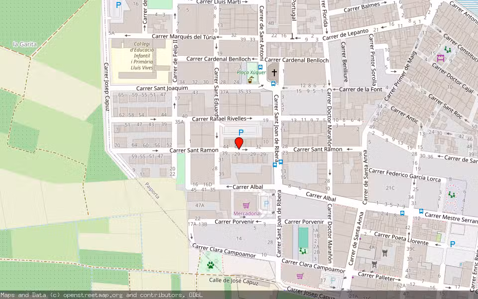 Mapa de Subasta Inmueble (Vivienda) en Paiporta, Valencia/València