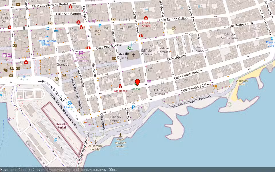 Mapa de Subasta Inmueble (Vivienda) en Torrevieja, Alicante/Alacant