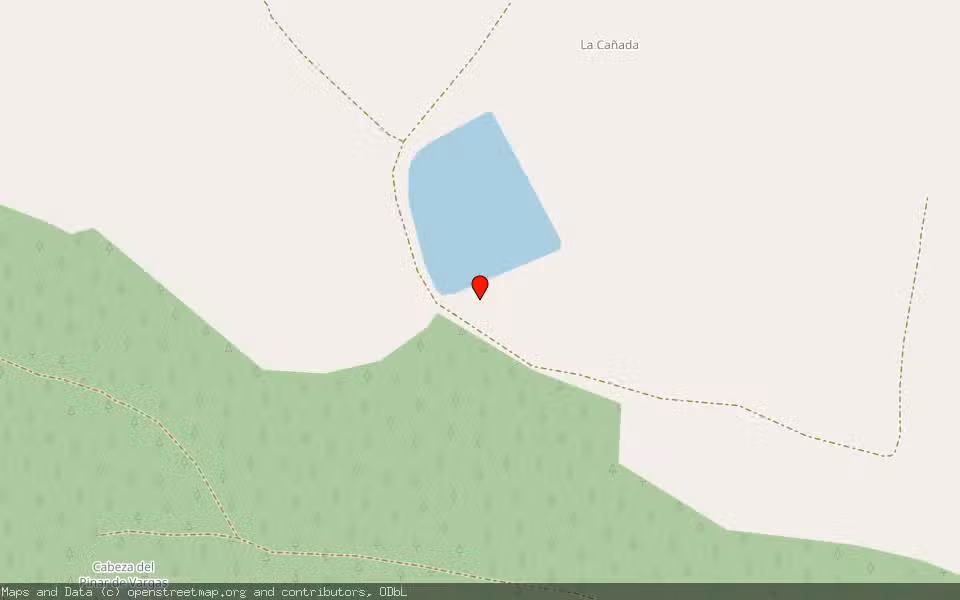 Mapa de Subasta Inmueble (Finca rústica) en Almonte, Huelva