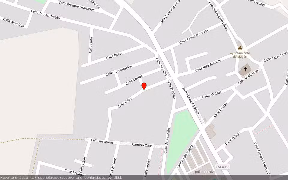 Mapa de Subasta Inmueble (Vivienda) en Magan, Toledo