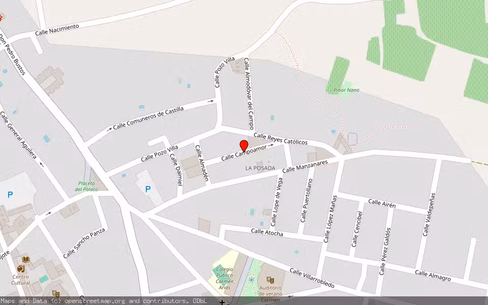 Mapa de Subasta Inmueble (Vivienda) en Socuellamos, Ciudad Real