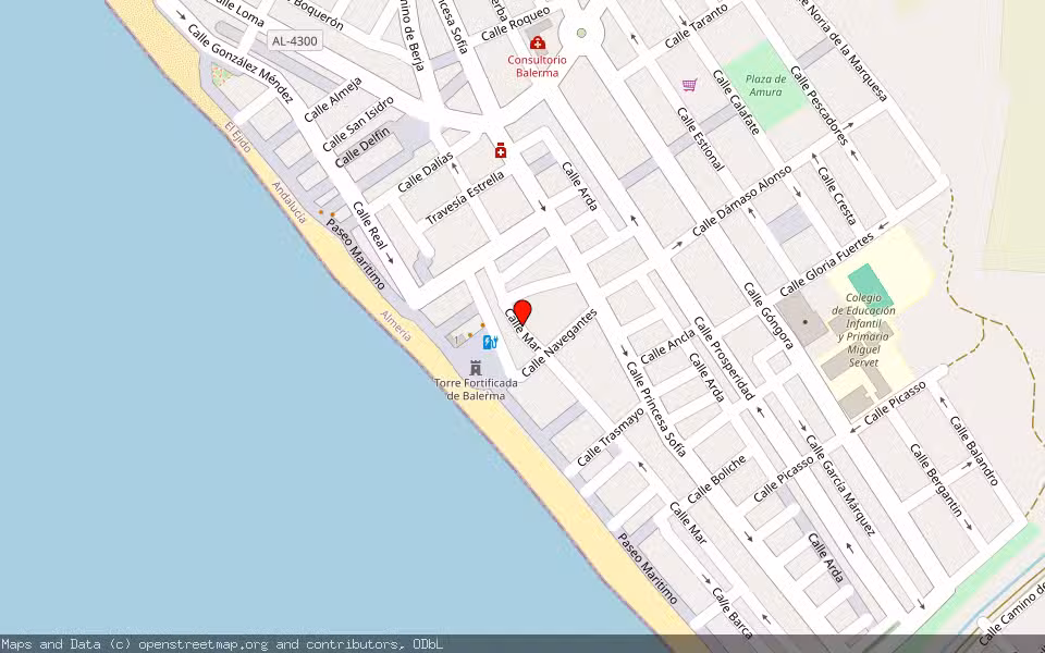 Mapa de Subasta Inmueble (Local comercial) en El Ejido, Almería