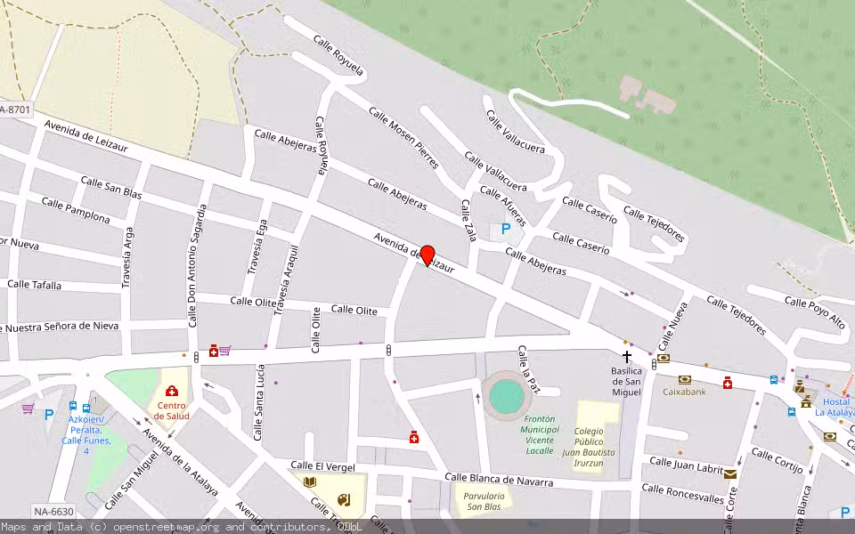 Mapa de Subasta Inmueble (Vivienda) en Peralta, Navarra