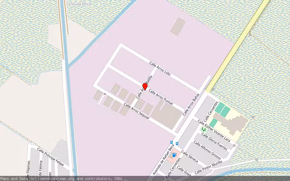 Mapa de Subasta Inmueble (Nave industrial) en Isla Mayor, Sevilla
