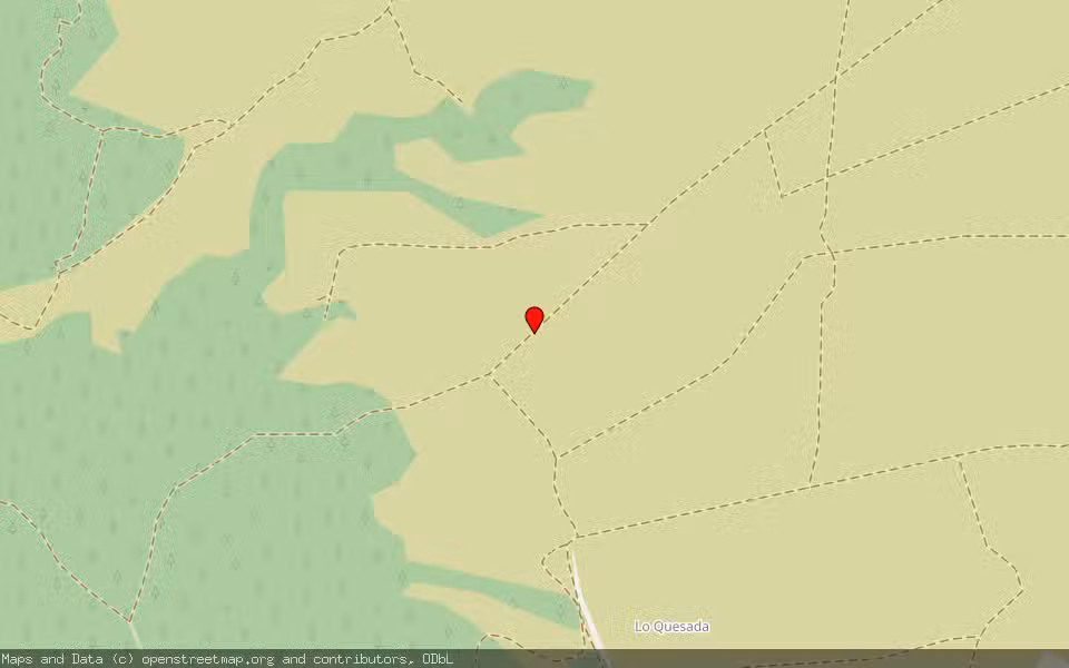 Mapa de Subasta Inmueble (Finca rústica) en San Miguel De Salinas, Alicante/Alacant