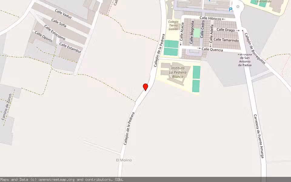 Mapa de Subasta Inmueble (Finca rústica) en Chiclana De La Frontera, Cádiz