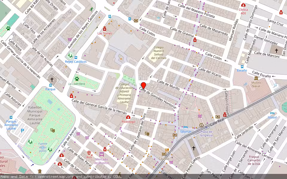 Mapa de Subasta Inmueble (Local comercial) en San Fernnado, Cádiz