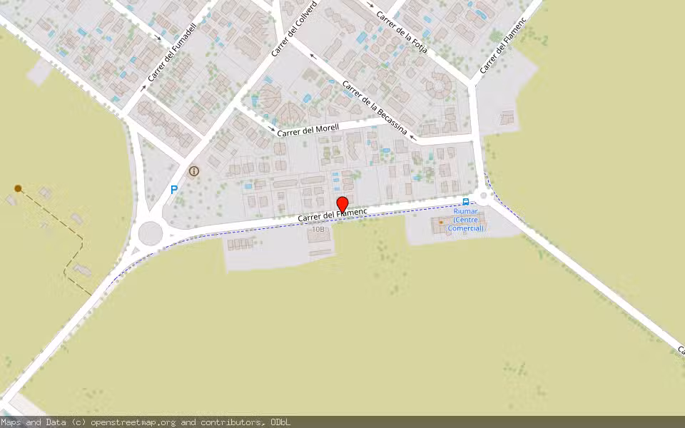 Mapa de Subasta Inmueble (Solar) en Deltebre, Tarragona