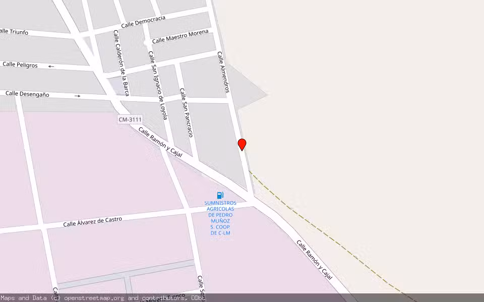 Mapa de Subasta Inmueble (Solar) en Pedro Muñoz, Ciudad Real