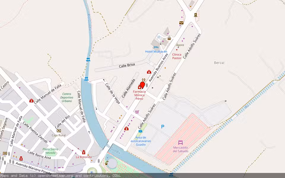 Mapa de Subasta Inmueble (Vivienda) en Guadix, Granada