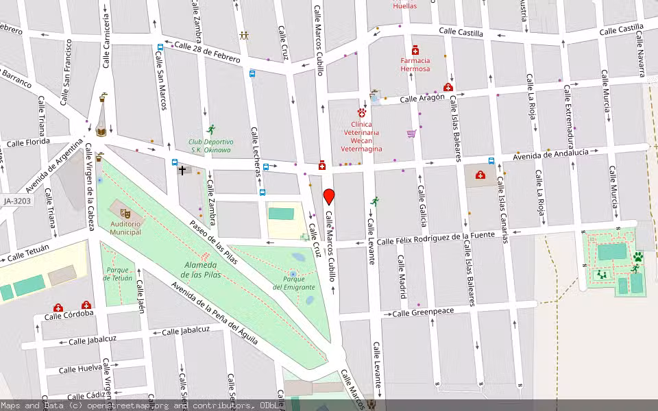 Mapa de Subasta Inmueble (Garaje) en Mancha Real, Jaén