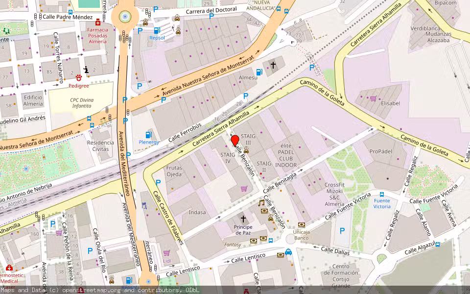 Mapa de Subasta Inmueble (Vivienda) en Almeria, Almería