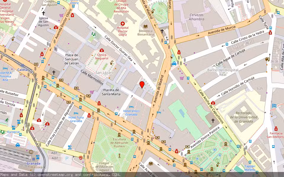 Mapa de Subasta Inmueble (Vivienda) en Granada