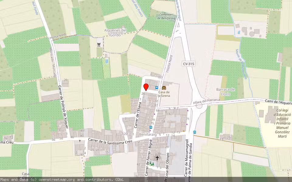 Mapa de Subasta Inmueble (Vivienda) en Benifaraig, Valencia/València