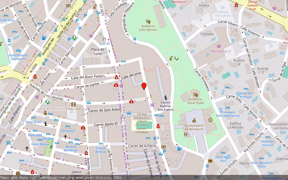 Mapa de Subasta Inmueble (Vivienda) en Benidorm, Alicante/Alacant