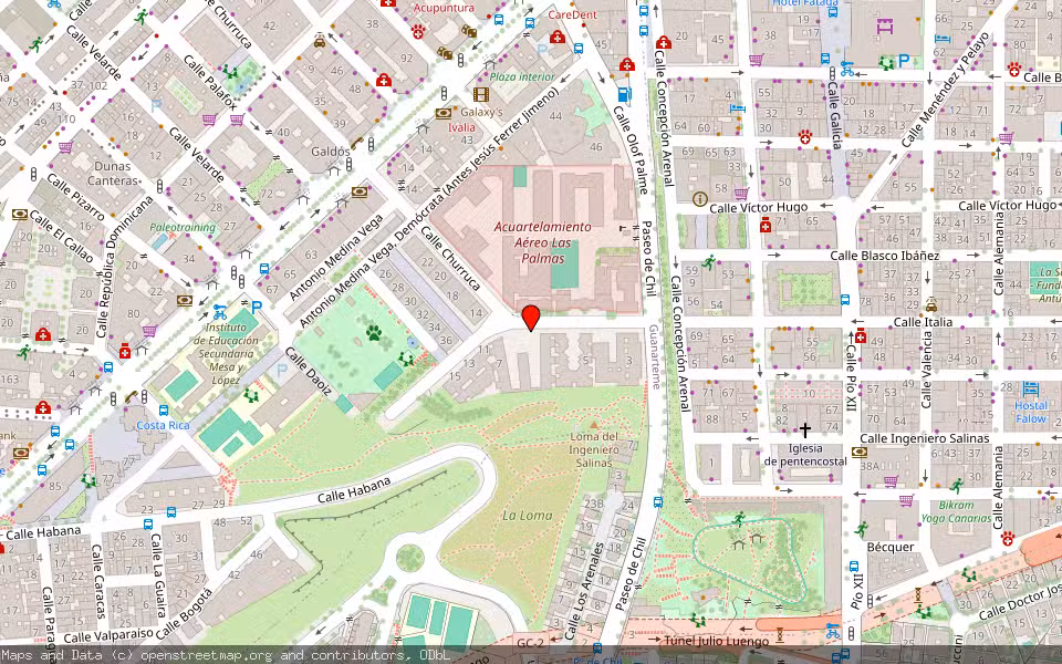 Mapa de Subasta Inmueble (Local comercial) en Las Palmas De Gran Canaria, Las Palmas