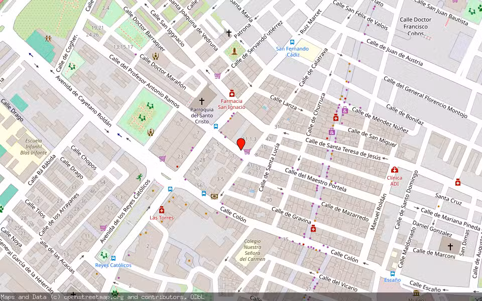 Mapa de Subasta Inmueble (Vivienda) en San Fernando, Cádiz