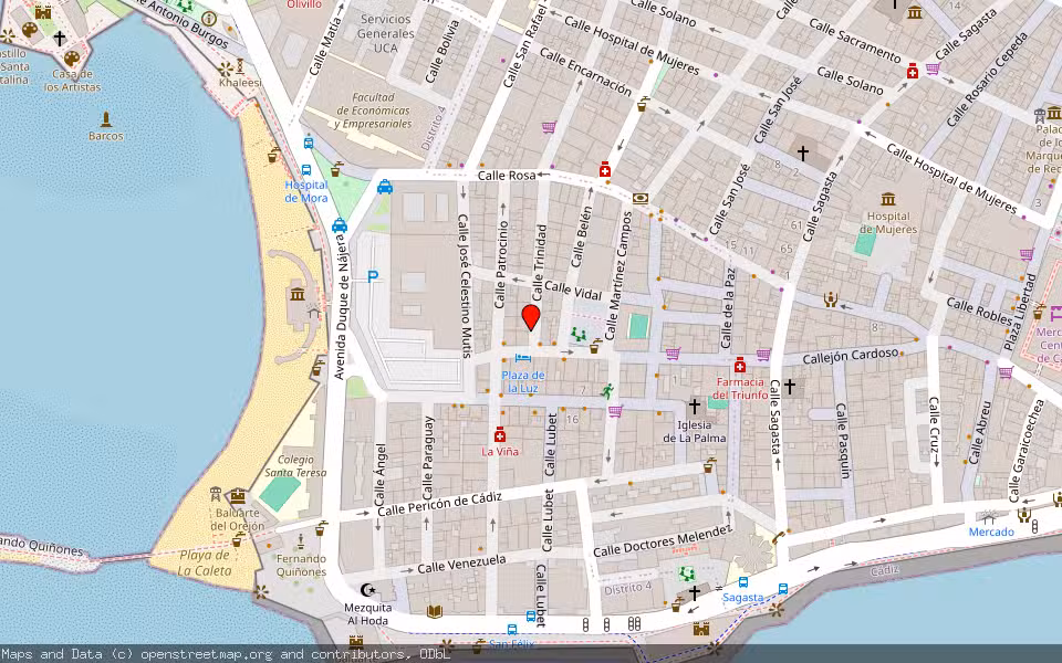 Mapa de Subasta Inmueble (Vivienda) en Cadiz, Cádiz