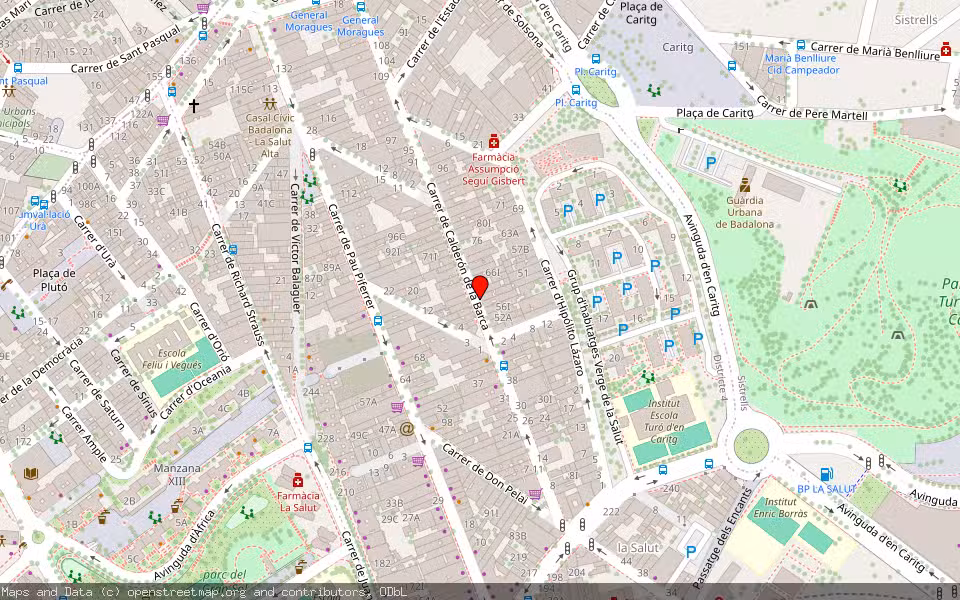 Mapa de Subasta Inmueble (Local comercial) en Badalona, Barcelona