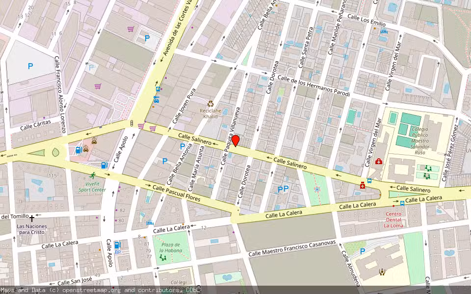 Mapa de Subasta Inmueble (Trastero) en Torrevieja, Alicante/Alacant