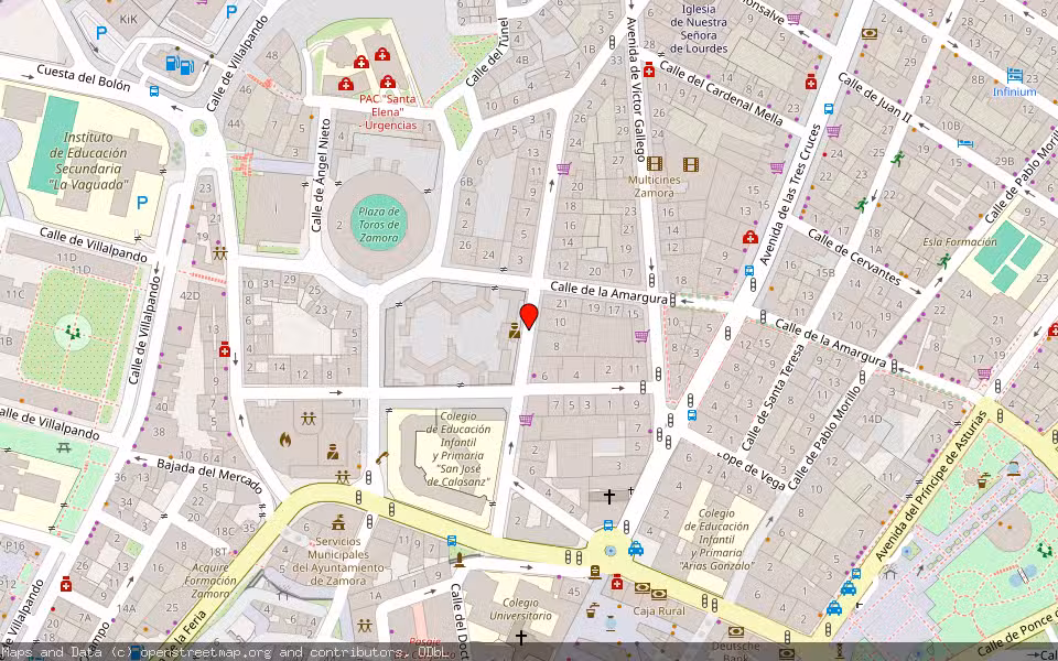 Mapa de Subasta Inmueble (Local comercial) en Zamora
