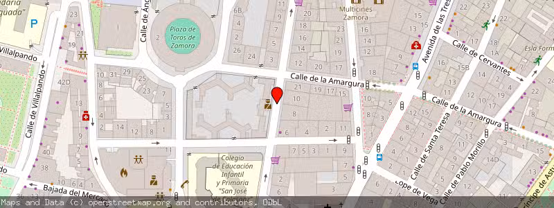 Mapa de Subasta de Inmueble (Local comercial) en Zamora, Zamora 