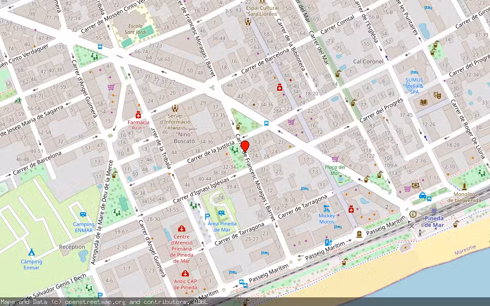 Mapa de Subasta Inmueble (Vivienda) en Pineda De Mar, Barcelona