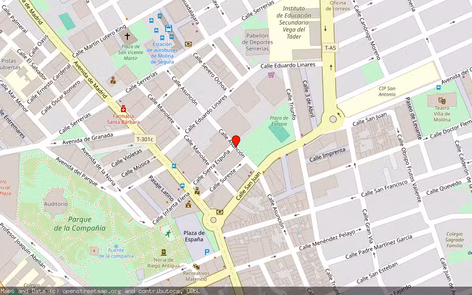 Mapa de Subasta Inmueble (Local comercial) en Molina De Segura, Murcia