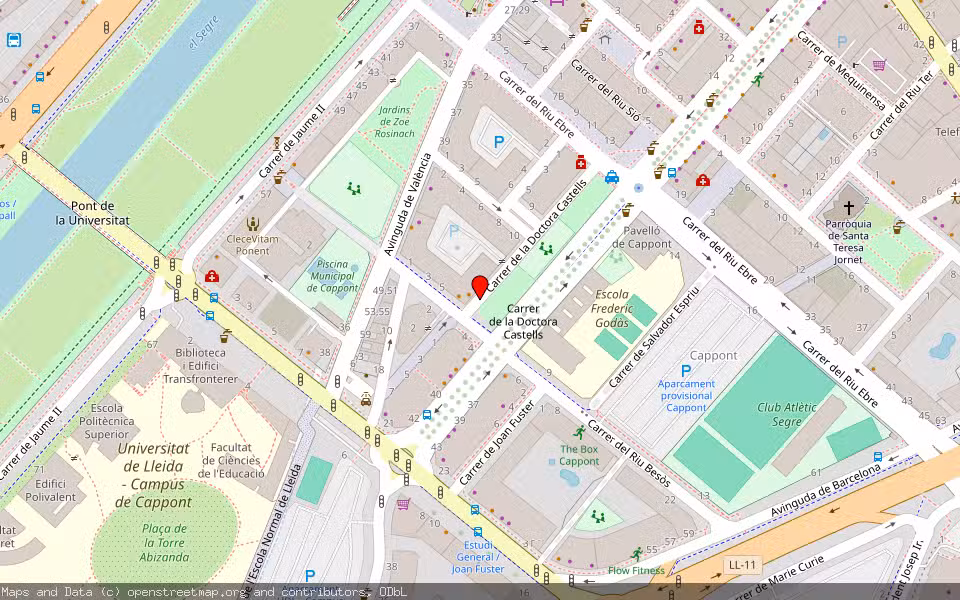 Mapa de Subasta Inmueble (Vivienda) en Lleida