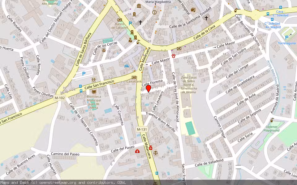 Mapa de Subasta Inmueble (Vivienda) en Torrelaguna, Madrid