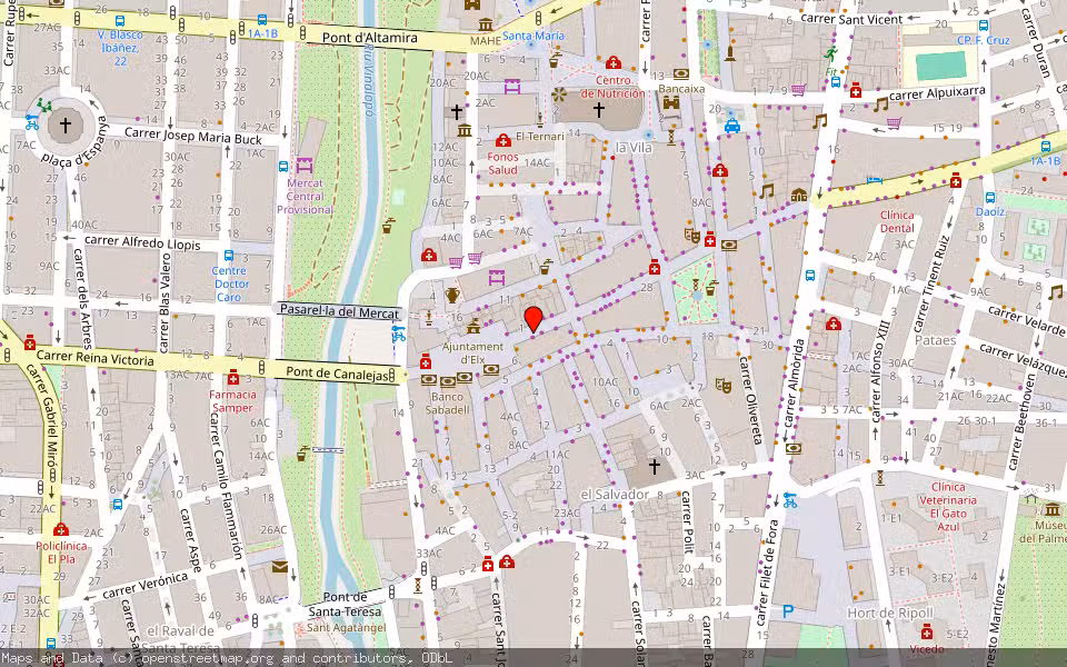 Mapa de Subasta Inmueble (Vivienda) en Elche, Alicante/Alacant