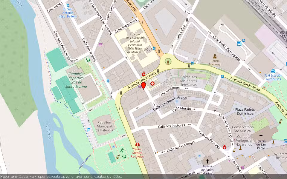 Mapa de Subasta Inmueble (Vivienda) en Palencia