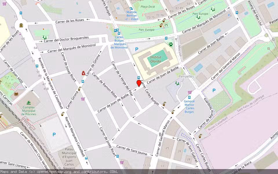 Mapa de Subasta Inmueble (Vivienda) en Sant Feliu De Llobregat, Barcelona
