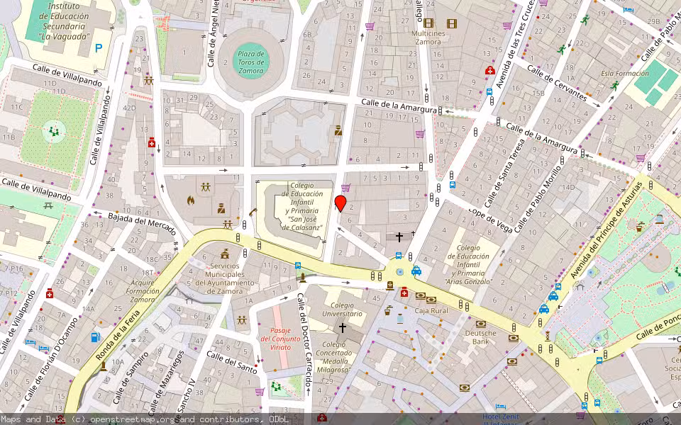 Mapa de Subasta Inmueble (Vivienda) en Zamora