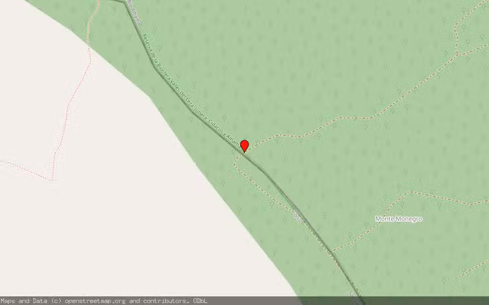 Mapa de Subasta Inmueble (Finca rústica) en San Felices, Soria