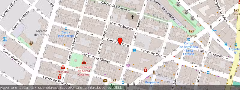 Mapa de Subasta de Inmueble (Local comercial) en Palma, Islas Baleares (Balears) 