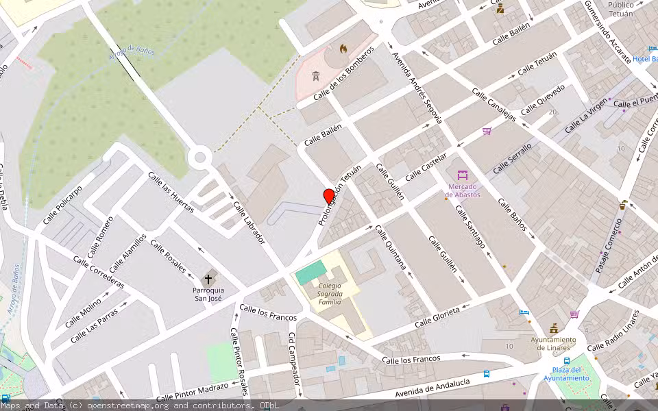 Mapa de Subasta Inmueble (Vivienda) en Linares, Jaén