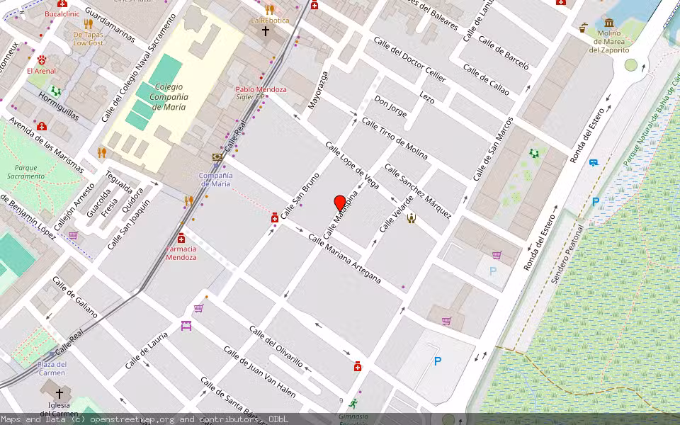 Mapa de Subasta Inmueble (Vivienda) en San Fernando, Cádiz