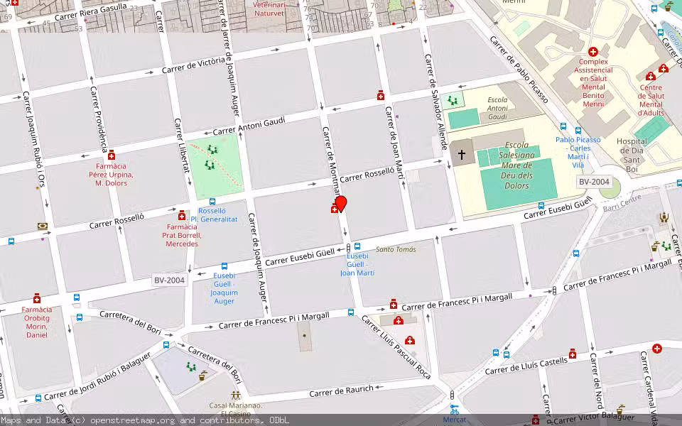 Mapa de Subasta Inmueble (Vivienda) en Sant Boi De Llobregat, Barcelona