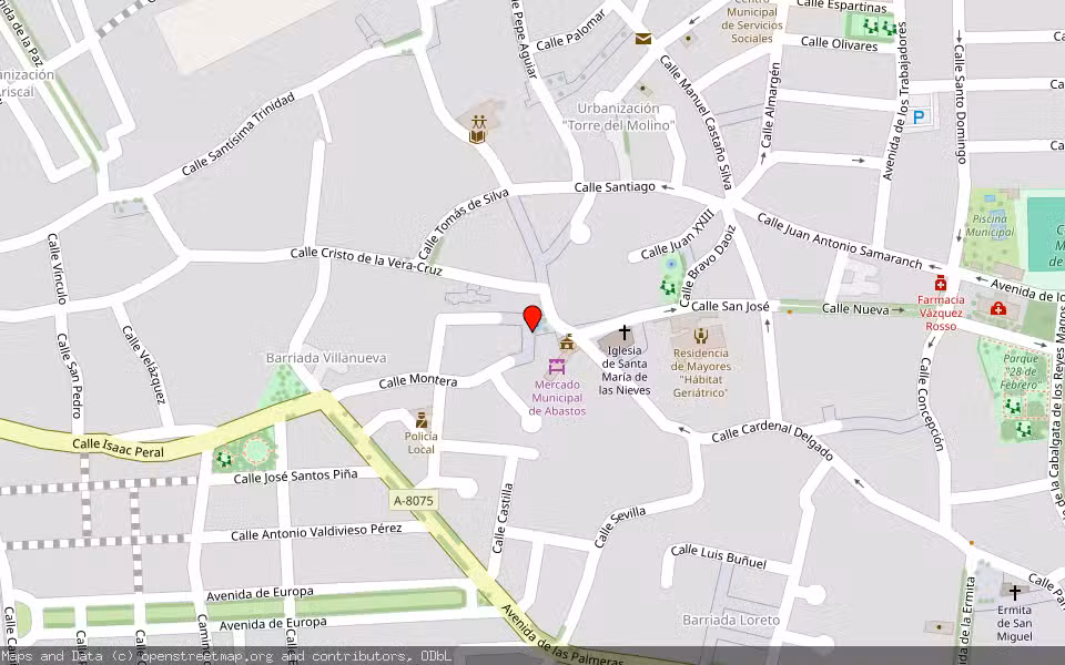 Mapa de Subasta Inmueble (Vivienda) en Villanueva Del Ariscal, Sevilla
