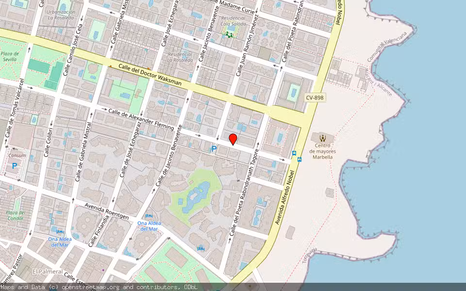 Mapa de Subasta Inmueble (Vivienda) en Torrevieja, Alicante/Alacant