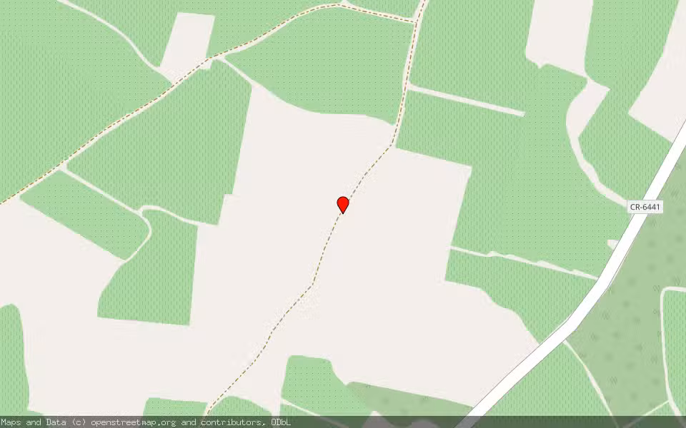 Mapa de Subasta Inmueble (Finca rústica) en Valdepeñas, Ciudad Real