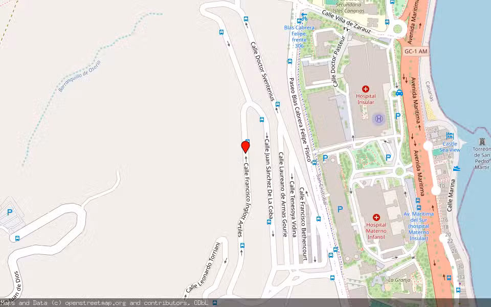 Mapa de Subasta Inmueble (Vivienda) en Las Palmas De Gran Canaria, Las Palmas